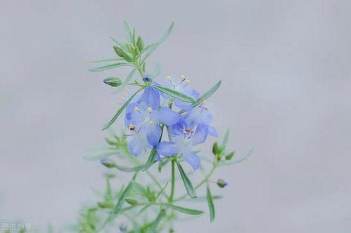 有哪些潜规则是中国人共识的,中国人共识中的隐性规则解析